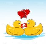 Valentine card with ducks